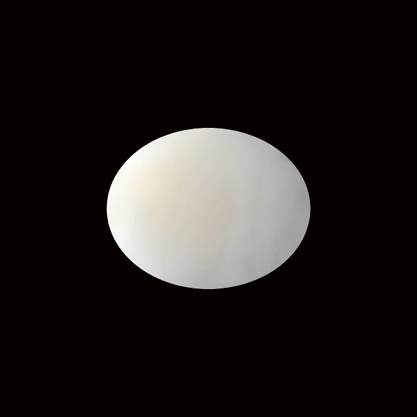 White Coral - 6.00 carats